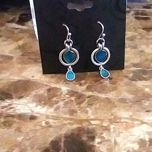 Genuine Abalone Silver Earrings